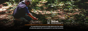 The Universal Edibility Test: Safely Identifying Edible Plants in Survival Situations