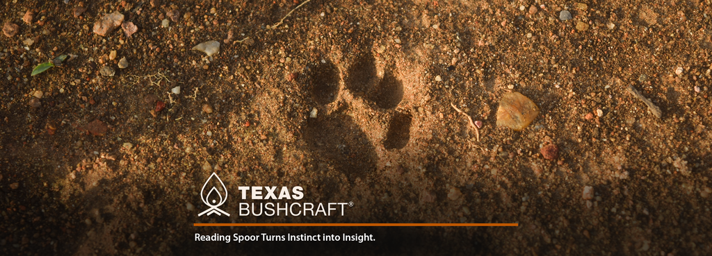 Animal Tracking Basics – Using Spoor to Survive in the Wild