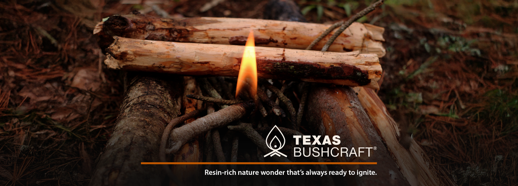 Fatwood, A Trusted Resource for Campfires and Survival