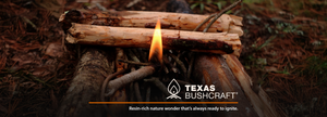 Fatwood, A Trusted Resource for Campfires and Survival
